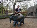 zoo-elephant ride